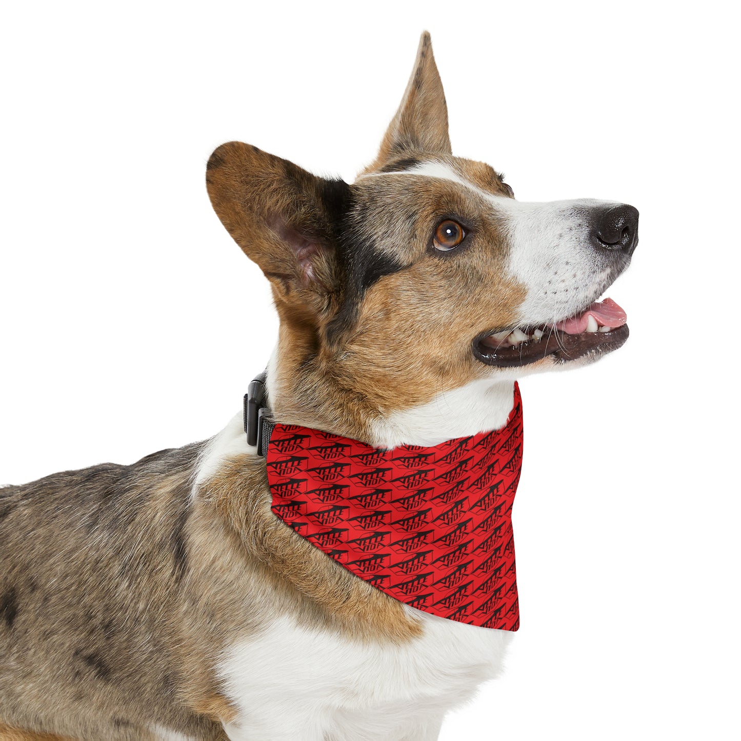 VELLE VIDA Pet Bandana Collar