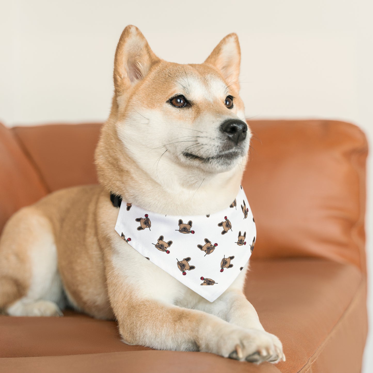 LOKI NAPZ Pet Bandana Collar