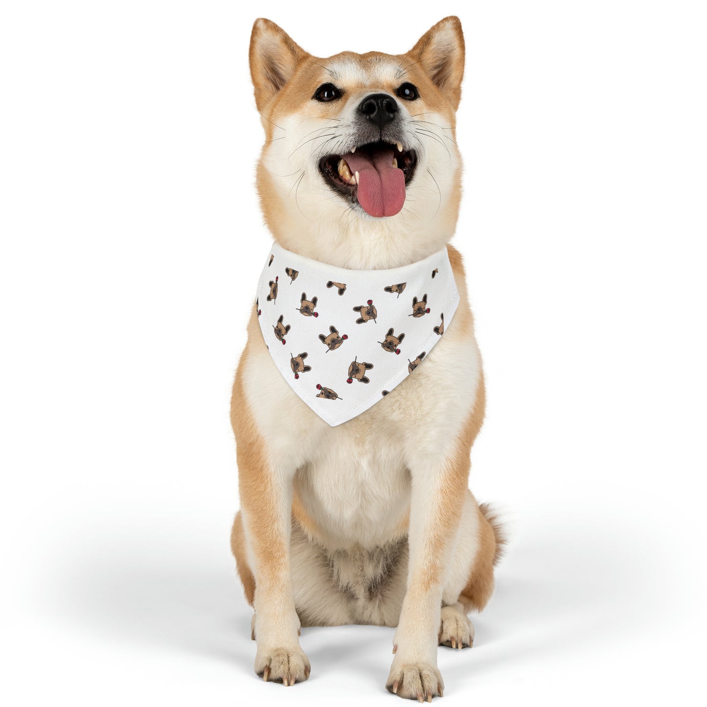 LOKI NAPZ Pet Bandana Collar