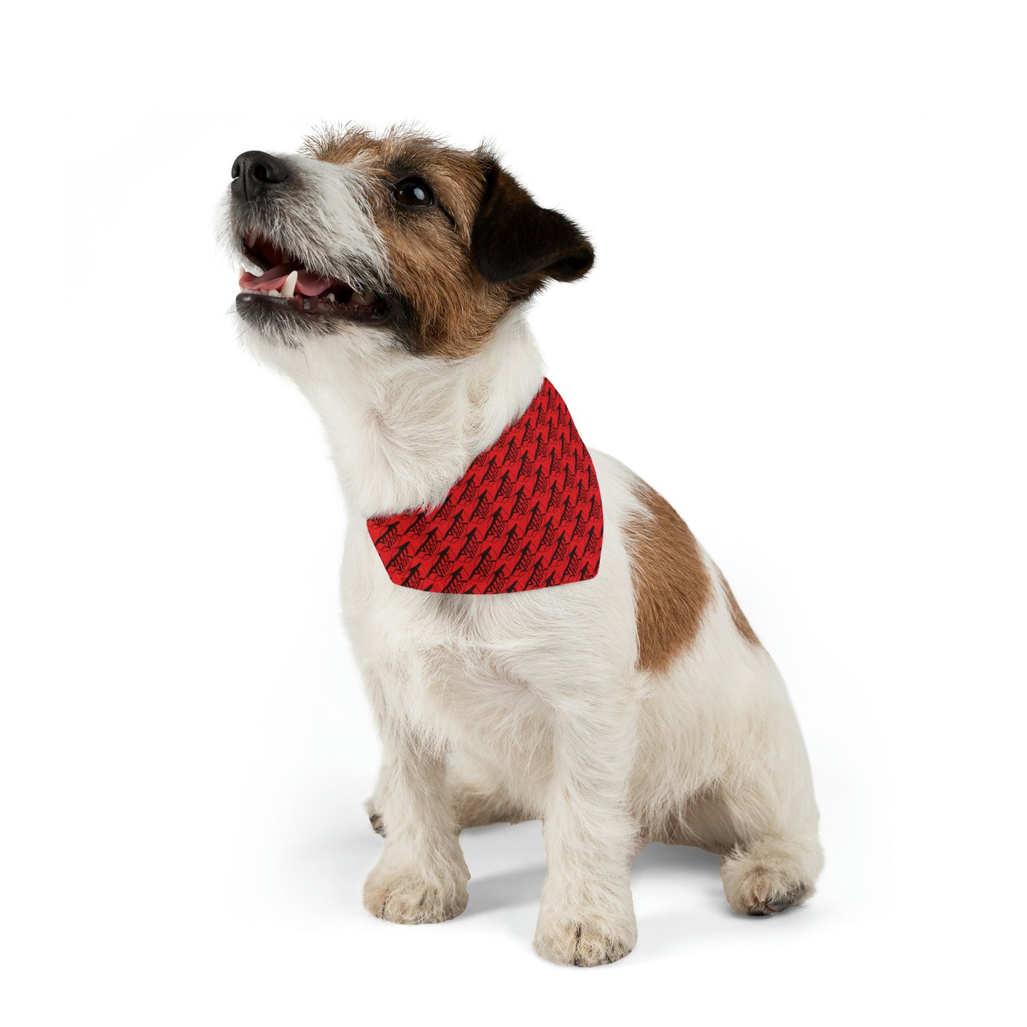 VELLE VIDA Pet Bandana Collar