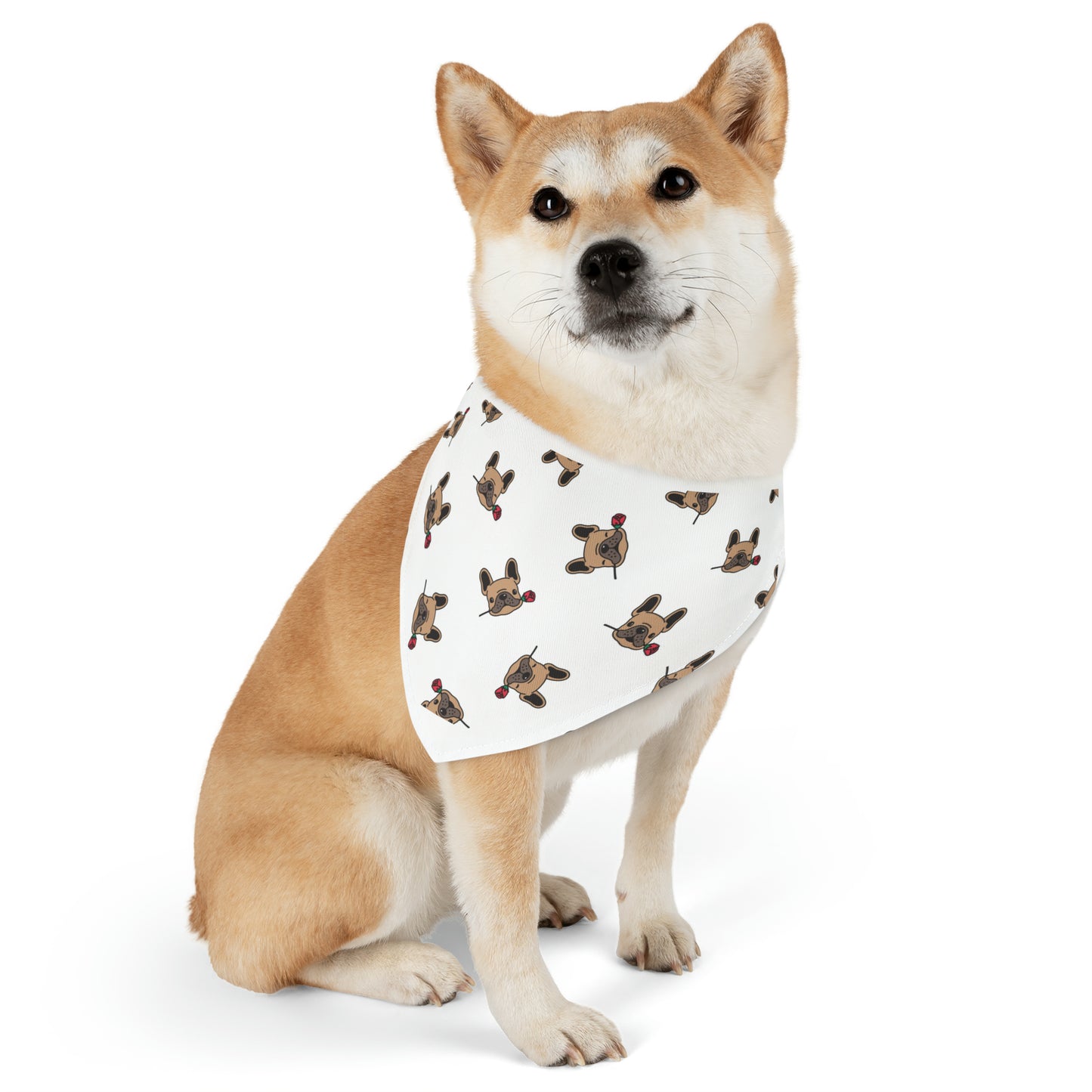 LOKI NAPZ Pet Bandana Collar