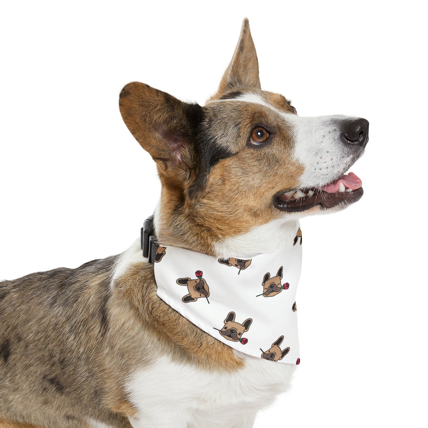 LOKI NAPZ Pet Bandana Collar