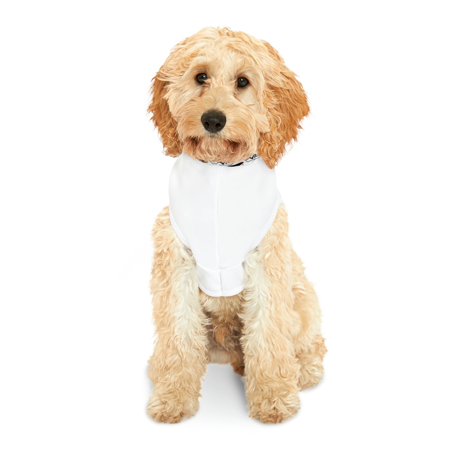 VELLE VIDA Pet Hoodie