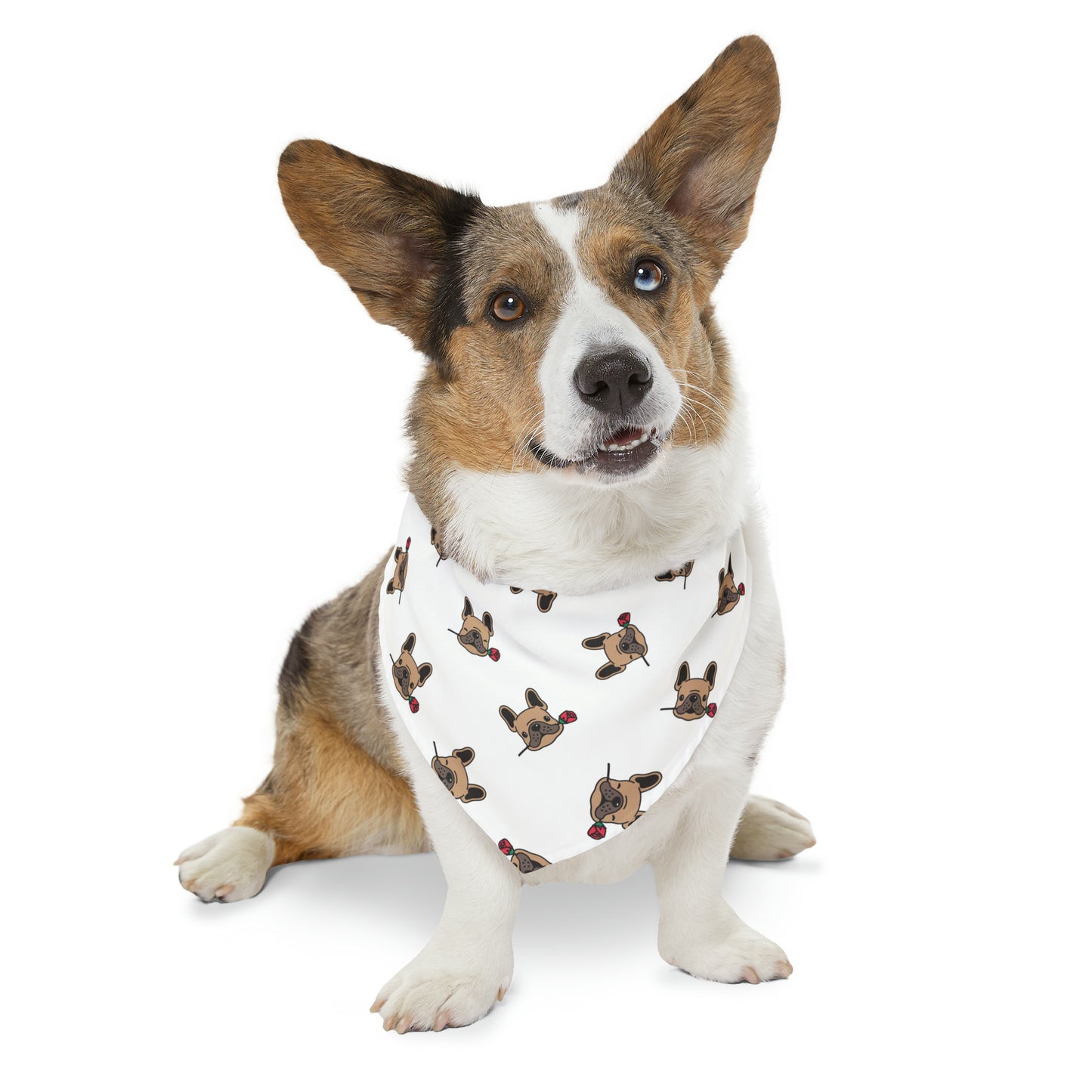 LOKI NAPZ Pet Bandana Collar